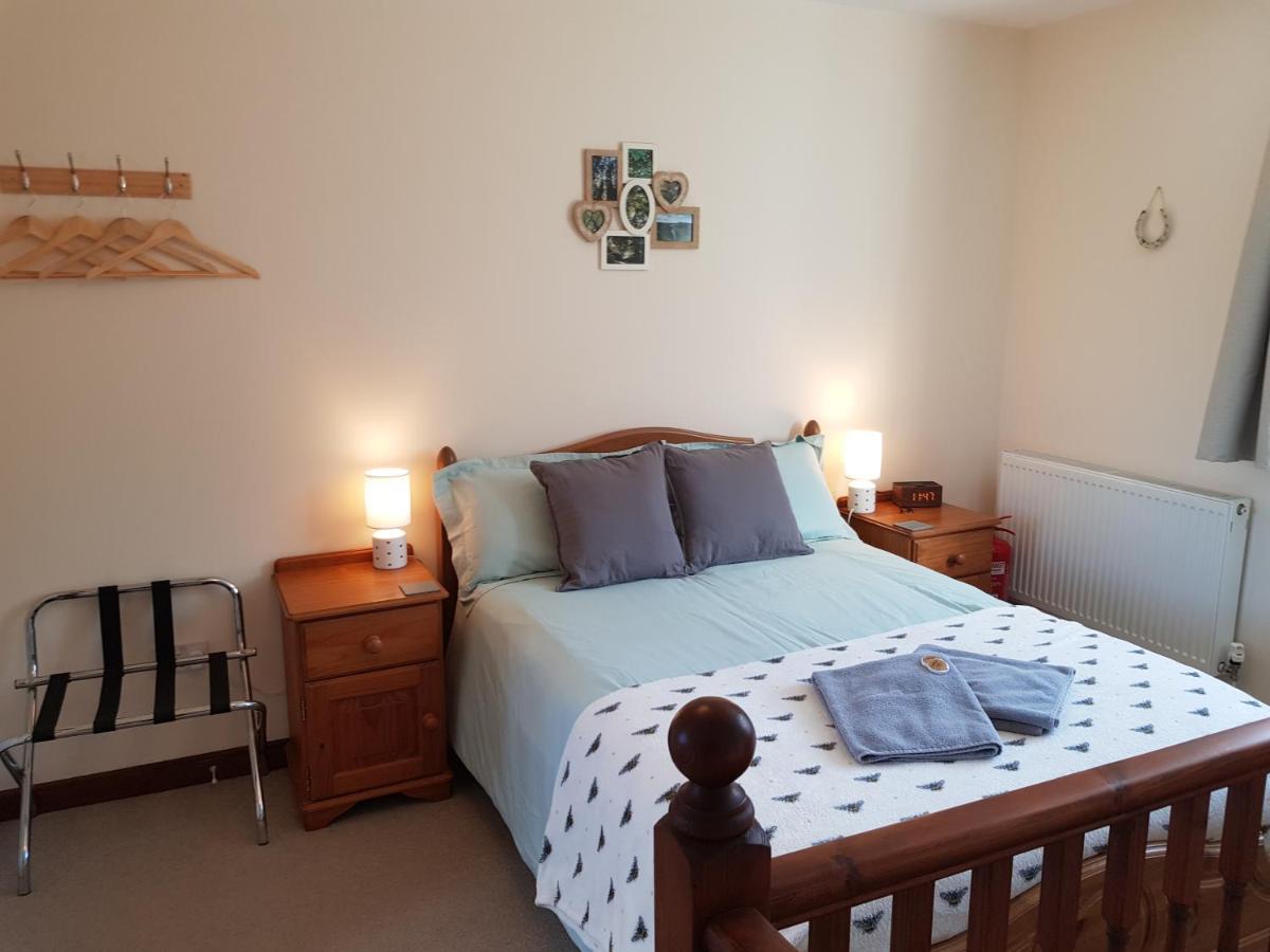 The Beehive - Self Catering In The Heart Of The Forest Of Dean Whitecroft Kültér fotó