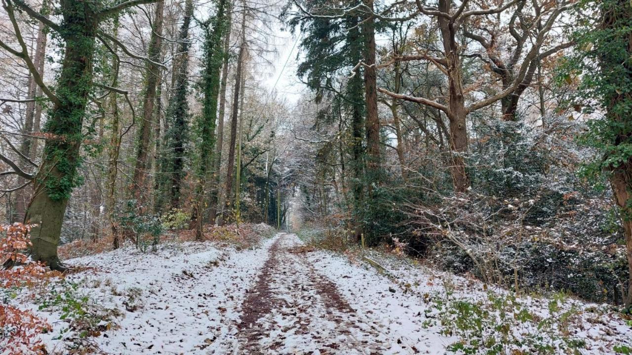 The Beehive - Self Catering In The Heart Of The Forest Of Dean Whitecroft Kültér fotó