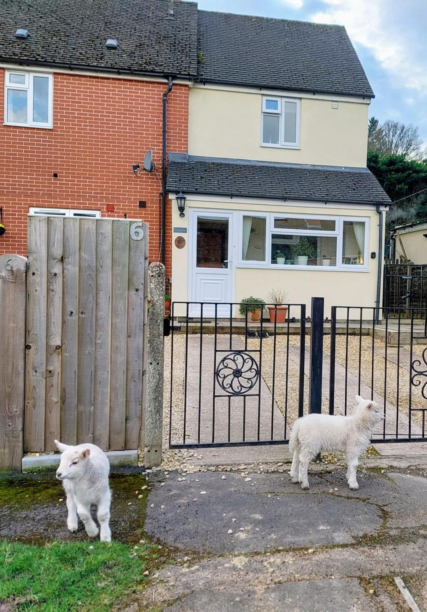 The Beehive - Self Catering In The Heart Of The Forest Of Dean Whitecroft Kültér fotó